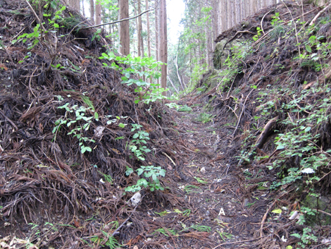 20191031hike (299)